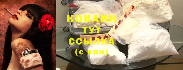 МДПВ Семилуки