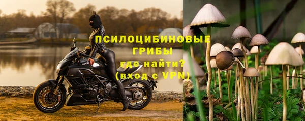 a pvp Саяногорск